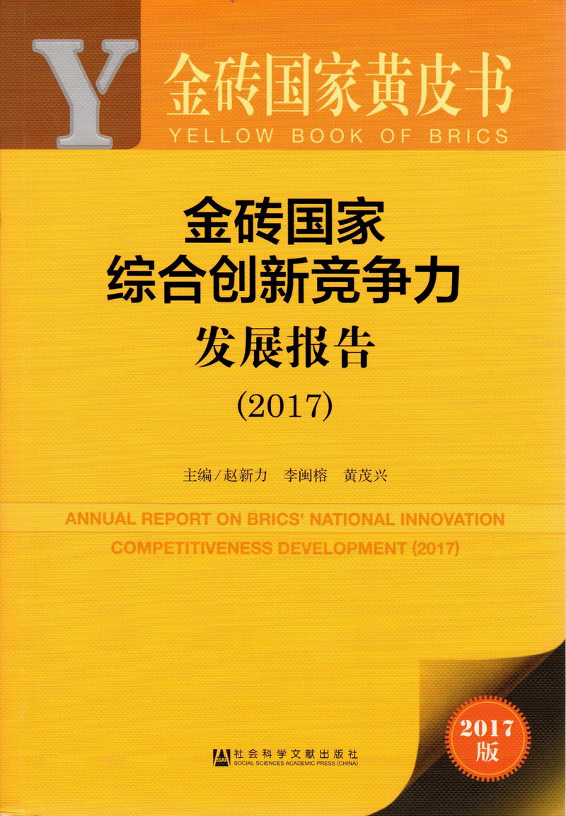 屌逼视频免费看私人影院金砖国家综合创新竞争力发展报告（2017）